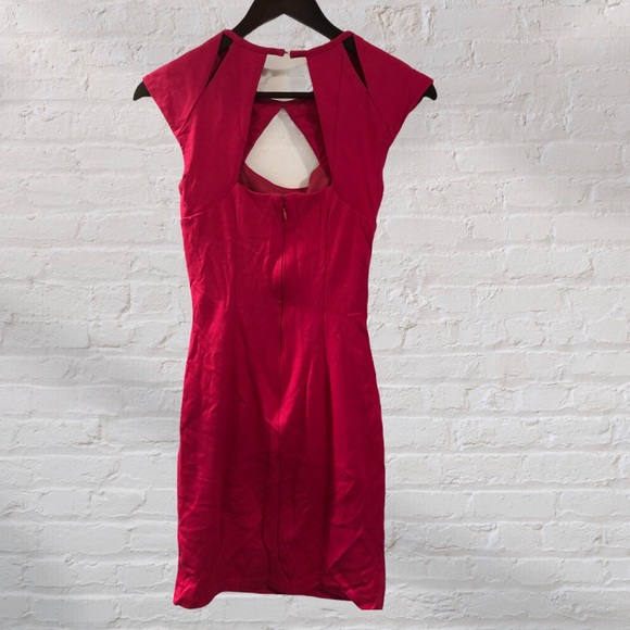 🍁Fall Sale🍁 Le Chateau Midi Dress with Cutouts - Picture 5 of 5